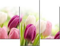 70 90CM OBRAZ 3 ELEM SOCZYSTE TULIPANY ŚCIENNY PŁÓTNO