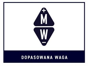 RED DRAGON Javelin 22g - Profesjonalny Zestaw 3 Wolframowych Rzutek na Arena.pl