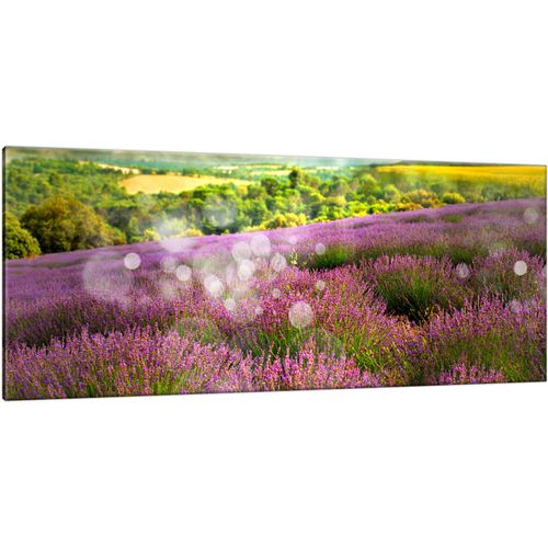 100X40 Obraz Na Płótnie Do Salonu na Arena.pl