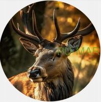 Opłatek na tort Jeleń Zwierzę Rogacz Tekst Gratis Urodziny 18 30 40 50