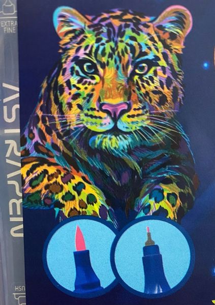 Promarkery Astra 36 szt. markery dwustronne zdjęcie 3