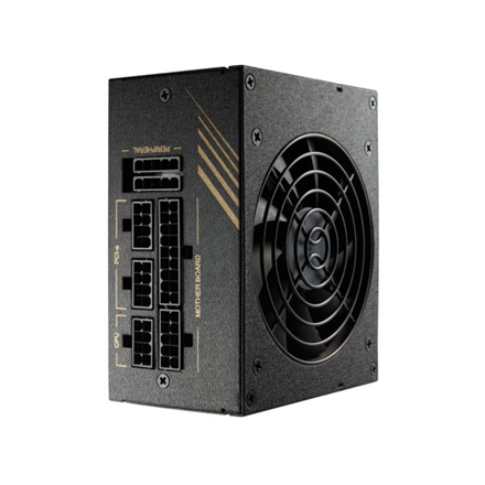 Fortron | PSU | DAGGER PRO 650W | 648 W | 650 W na Arena.pl