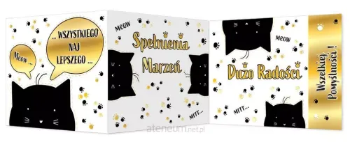 Karnet B6 Urodzinowy, Składany. Koty na Arena.pl