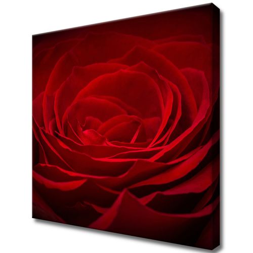 40X40 Obraz Na Płótnie Do Salonu na Arena.pl