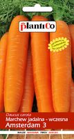 NASIONA Marchew Jadalna Amsterdam 3 Amsterdamska NOE 5g PLANTICO 403017