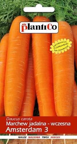 NASIONA Marchew Jadalna Amsterdam 3 Amsterdamska NOE 5g PLANTICO 403017 na Arena.pl