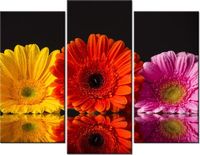 70 90CM OBRAZ 3 ELEM GERBERY ŚCIENNY DRUK PŁÓTNO