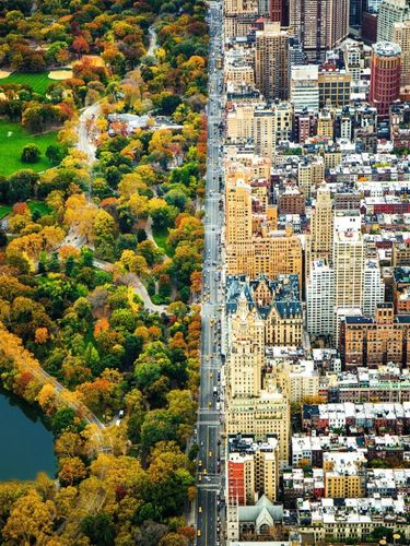 1500 ELEMENTÓW Podzielone miasto na Arena.pl