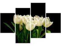 140CM 70 OBRAZ BIAŁE TULIPANY MARK FREETH ŚCIENNY