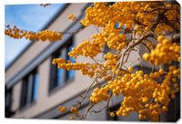 Obraz 100x70cm Złote Jagody