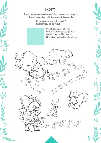 Kto Mieszka W Lesie? na Arena.pl