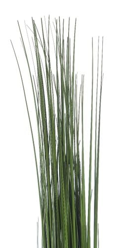 Trawa Long Banch 147 Cm na Arena.pl