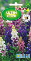 NASIONA Kwiatów Łubin Letni 5g Kwiaty 265003