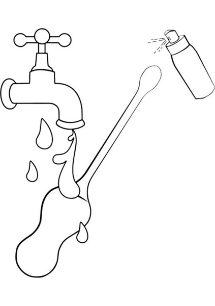 Cello Green zdjęcie 14