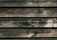 Fototapeta drewno ściana drzewa sosna deski słoje