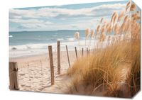 product-compare-59467425