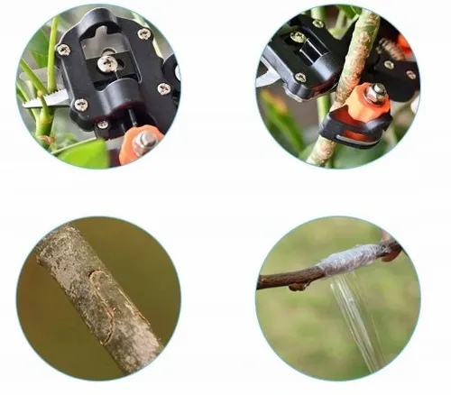 ZESTAW SEKATOR NOŻYCE NOŻYCZKI OGRODOWE DO SZCZEPIEŃ OKULIZACJI DRZEW ETUI na Arena.pl