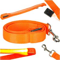 Smycz Tradycyjna dla Psa Kota Świecąca na Spacer Jesień Zima Noc LED 1,2m