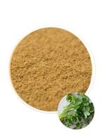 Kolendra mielona w proszku przyprawa do hummus 150g