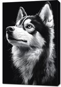 Obraz 60x90cm Portret Zwierząt do Salonu Pokoju | Husky | Czarno Białe
