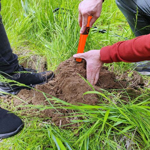 Wykrywacz metalu Pinpointer Cobra Tector CT-1076 na Arena.pl