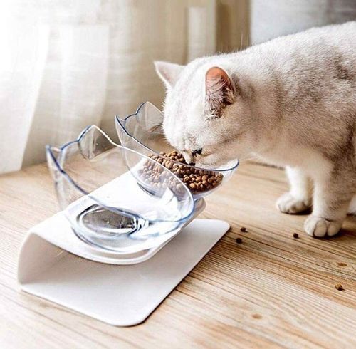 Pochylone Miski Dla Kota Ze Stojakiem na Arena.pl