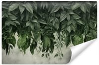 Fototapeta Do Salonu Wiszące ZIELONE Liście Beton Natura 315cm x 210cm