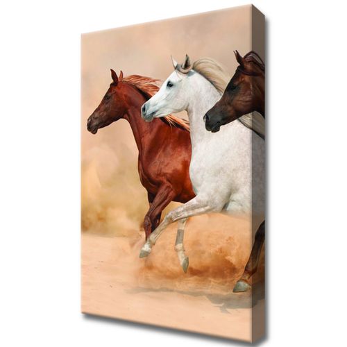 20X30Cm Obraz Płótno Nowoczesny Na Ścianę na Arena.pl