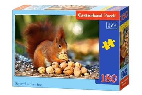 Castor 180 ELEMENTÓW Wiewiórka w raju na Arena.pl