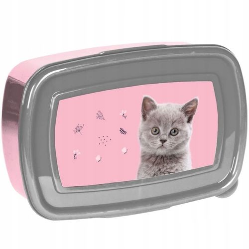 TORNISTER SZKOLNY PLECAK DLA DZIEWCZYNKI DO 1 KLASY KOT KOTEK 5 ELEMENTÓW na Arena.pl