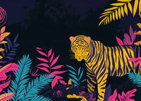 Plakat 70x50cm Tygrys w Rozdarciu