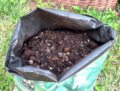 Ziemia Biovita Bigos 8L - lekkie podłoże do monster i filodendronów na Arena.pl