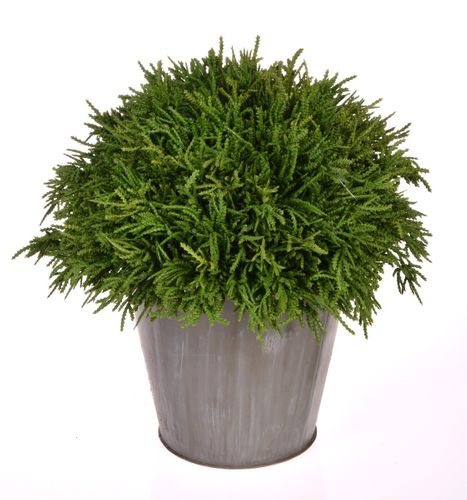 Kula w doniczce 28 cm # na Arena.pl