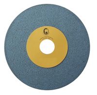 ŚCIERNICA CERAMICZNA T1 250*25*32 95A 80K-SZARA - T1250 5-2