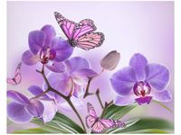 40X50CM DELIKATNA PIĘKNOŚĆ OBRAZ