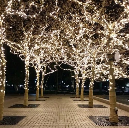 LAMPKI NA BATERIE OŚWIETLENIE ŚWIĄTECZNE LED 140 TIMER WEW/ZEW CIEPŁE BIAŁE na Arena.pl