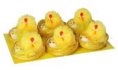 KURCZAKI WIELKANOCNE 6 SZT 8CM KURCZAKI W GNIAZDKU