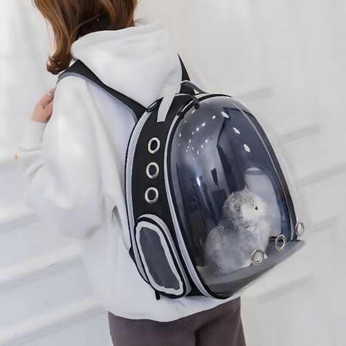 TRANSPORTER PLECAK TORBA PRZEZROCZYSTA DLA KOTA PSA ZWIERZĄT na Arena.pl