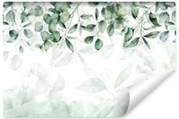 Fototapeta Do Sypialni Salonu Delikatne LIŚCIE Natura Rośliny 315cm x 210cm