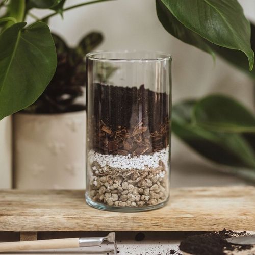 Ziemia do monstery 5l PREMIUM | Plant lover | Bigos z certyfikatem na Arena.pl