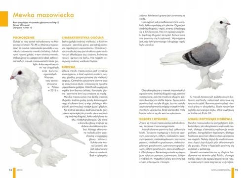 ZESTAW KSIĄŻEK O GOŁĘBIACH ATLAS GOŁĘBI POLSKIE RASY I GOŁĘBIE BARWNE 148 na Arena.pl