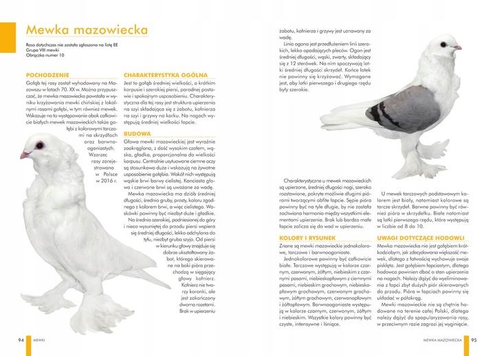 ZESTAW KSIĄŻEK O GOŁĘBIACH ATLAS GOŁĘBI POLSKIE RASY I GOŁĘBIE BARWNE 148 zdjęcie 7