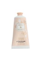 l`occitane neroli & orchidee hand cream 75ml