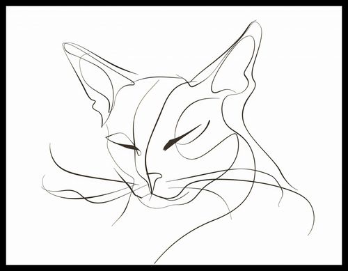 Plakat 65x50cm Linijny Kot na Arena.pl