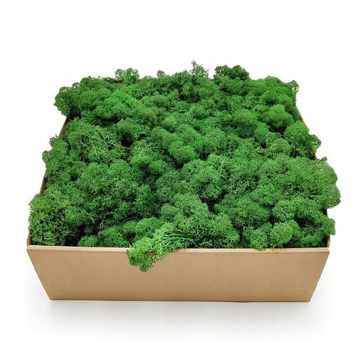 500g MECH CHROBOTEK reniferowy zielony NORWESKI na Arena.pl