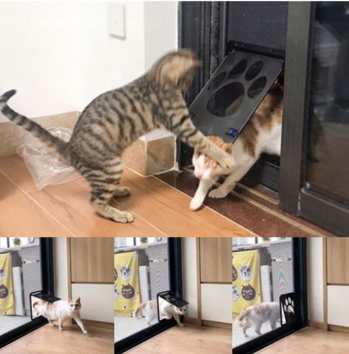 FURTKA KLAPKA TUNEL DO DRZWI MOSKITIERY DRZWICZKI WAHADŁOWE PSÓW PSA KOTÓW na Arena.pl