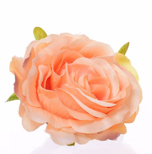 Róża wyrobowa brzoskwiniowa na Arena.pl