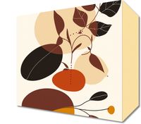 product-compare-59551241