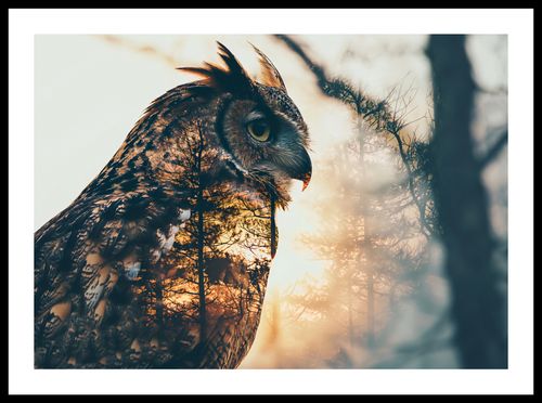 Plakat 59,4x42cm Sowi Duch na Arena.pl