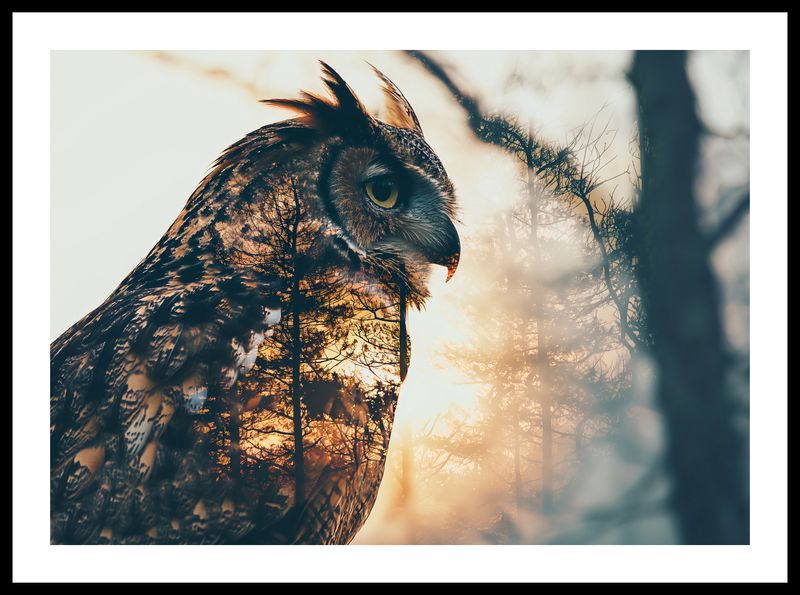 Plakat 59,4x42cm Sowi Duch zdjęcie 3